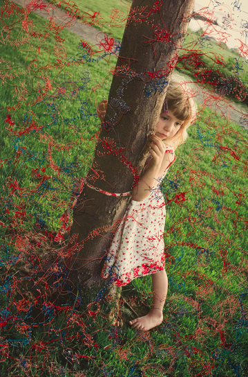 Carousel Image number 8